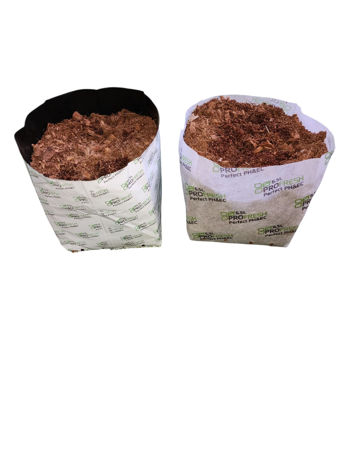 PHOTO-2025-08-13-21-34-54